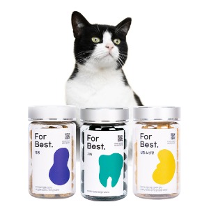 포베스트 고양이 코리안숏헤어 키트 영양제 세트 120g